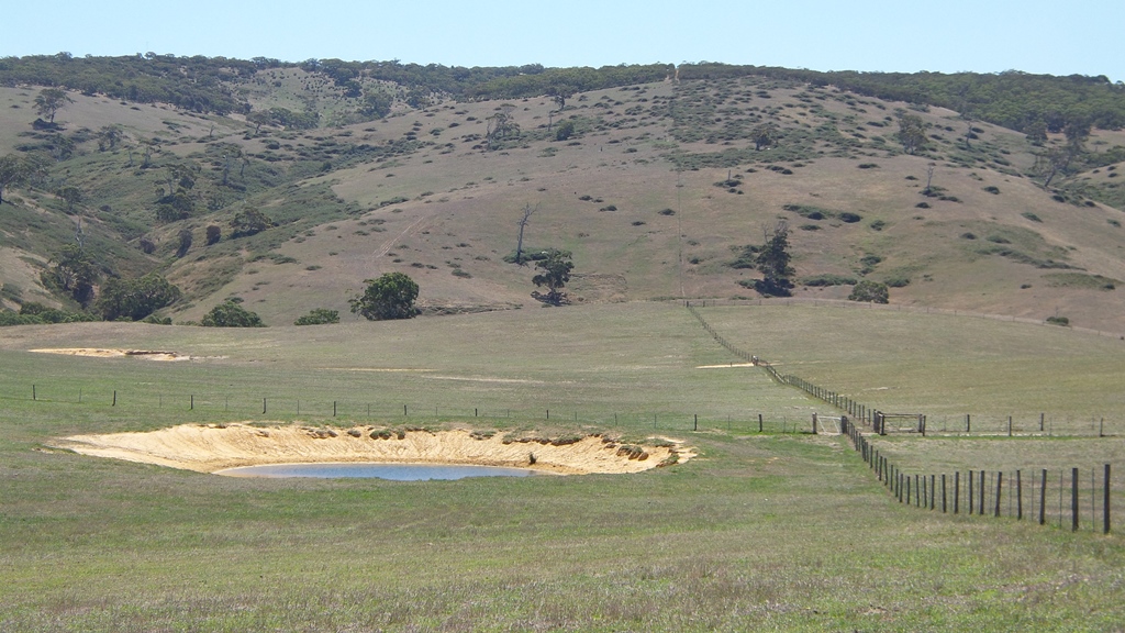 Cox Scrub Conservation Park